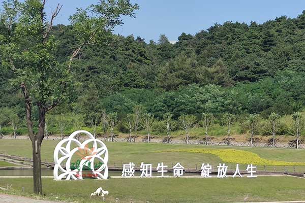 沈阳墓园价格