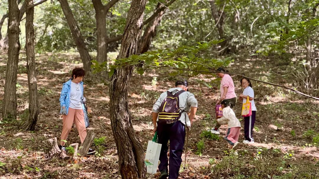 金秋游园会、共赴山河约，辽宁观陵山艺术园林公墓中秋活动