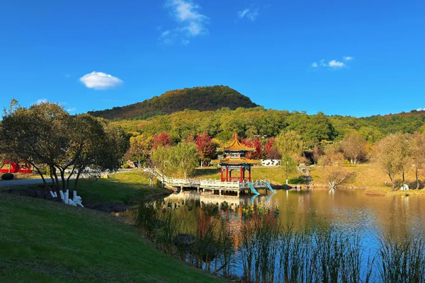 秋日私语 | 在沈阳观陵山墓园的斑斓静美中，与时光温柔相拥