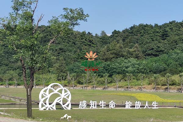 观陵山墓园 观陵山墓园