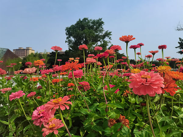 沈阳观陵山公墓：永恒守望，尊贵纪念的家园