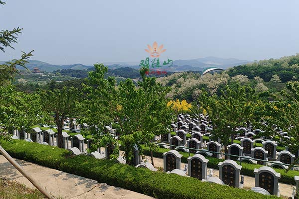沈阳观陵山墓园 沈阳观陵山墓园